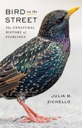 Bird on the Street : The Unnatural History of Starlings