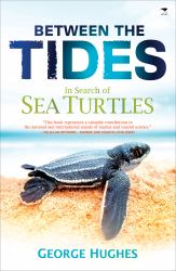 Between the Tides : In Search of Sea Turtles