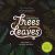 Drawing Trees and Leaves : Observing and Sketching the Natural World