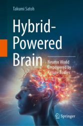 Hybrid-Powered Brain : Neuron World Empowered by Ketone Bodies