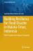 Building Resilience for Flood Disaster in Malaka-Timor, Indonesia : Risk Perception from Human Geography
