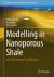 Modelling in Nanoporous Shale : Gas-Water Occurrence and Transport
