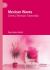 Mexican Waves : Cinema, Television, Transmedia