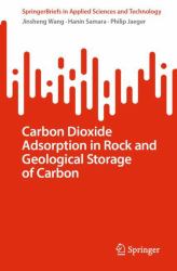 Carbon Dioxide Adsorption in Rock and Geological Storage of Carbon
