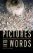 Pictures into Words : Images in Contemporary French Fiction