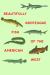 Beautifully Grotesque Fish of the American West