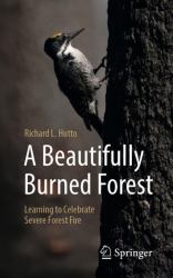 A Beautifully Burned Forest : Learning to Celebrate Severe Forest Fire