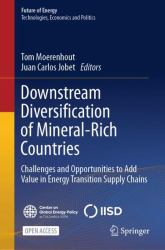 Downstream Diversification of Mineral-Rich Countries : Challenges and Opportunities to Add Value in Energy Transition Supply Chains