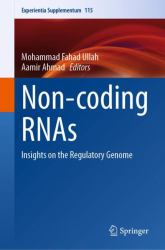 Non-Coding RNAs : Insights on the Regulatory Genome