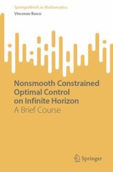 Nonsmooth Constrained Optimal Control on Infinite Horizon : A Brief Course