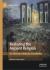 Restoring the Ancient Religion : The Theurgic Orthopraxy of Iamblichus
