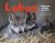 Lobos : A Wolf Family Returns to the Wild Lobos : A Wolf Family Returns to the Wild