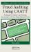 Fraud Auditing Using CAATT : A Manual for Auditors and Forensic Accountants to Detect Organizational Fraud