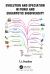 Evolution and Speciation in Fungi and Eukaryotic Biodiversity