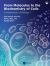 From Molecules to the Biochemistry of Cells : Fundamentals of Biology 1
