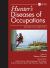 Hunter's Diseases of Occupations