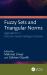 Fuzzy Sets and Triangular Norms : Aggregation in Decision-Aided Intelligent Systems
