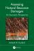 Assessing Natural Resource Damages : An Economic Perspective