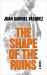 The Shape of the Ruins : A Novel
