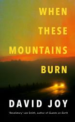 When These Mountains Burn : The Literary Crime Thriller from the Prizewinning Master of American Noir Fiction