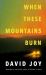 When These Mountains Burn : The Literary Crime Thriller from the Prizewinning Master of American Noir Fiction