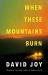 When These Mountains Burn : The Literary Crime Thriller from the Prizewinning Master of American Noir Fiction