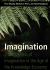 Imagination : Three Models of Imagination in the Age of the Knowledge Economy