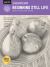 Drawing: Beginning Still Life : Learn to Draw Step by Step - 40 Page Step-By-step Drawing Book