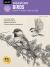 Drawing: Birds : Learn to Draw Step by Step