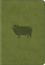 ESV Kid's Compact Bible (TruTone, Green Pastures)