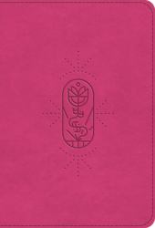 ESV kid's Bible