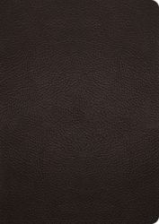 ESV Study Bible, Large Print (Buffalo Leather, Deep Brown)