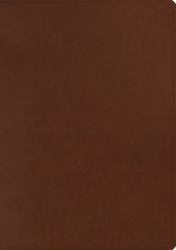 ESV Chronological Bible (TruTone, Brown)