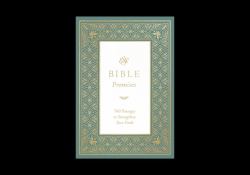 ESV Bible Promises : 700 Passages to Strengthen Your Faith (Paperback)