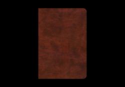 ESV Bible Promises : 700 Passages to Strengthen Your Faith (TruTone, Brown)