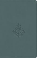 ESV Value Compact Bible (TruTone, Paris Sky, Branch Design)