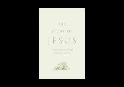 The Story of Jesus : A Guided Journey Through the Gospel of John (Paperback)