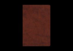 ESV Gospel Transformation Study Bible : Christ in All of Scripture, Grace for All of Life® (TruTone, Chestnut)