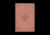 ESV Value Large Print Compact Bible (TruTone, Blush Rose, Fleur-De-lis Design)