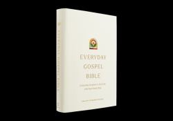 ESV Everyday Gospel Bible : Connecting Scripture to All of Life (Hardcover)