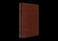 ESV Everyday Gospel Bible : Connecting Scripture to All of Life (TruTone, Chestnut)