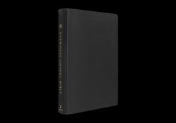 ESV Everyday Gospel Bible : Connecting Scripture to All of Life (Genuine Leather, Black)