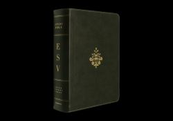 ESV Study Bible, Large Print (TruTone, Olive, Branch Design)