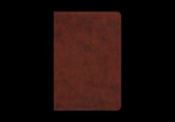 ESV Value Large Print Compact Bible (TruTone, Chestnut)