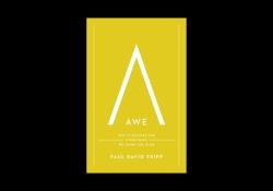 Awe : Why It Matters for Everything We Think, Say, and Do (with Study Questions)