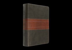 ESV Men's Study Bible (TruTone, Forest/Tan, Trail Design)