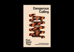 Dangerous Calling : Confronting the Unique Challenges of Pastoral Ministry (with Study Questions)