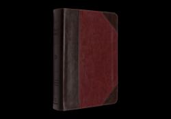 ESV Reader's Bible (TruTone, Brown/Cordovan, Portfolio Design)