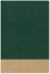 Teacher's Bible Green/Tan LeatherTouch