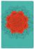 HCSB Essential Teen Study Bible, Personal Size, Coral Flower